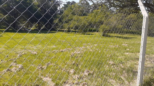 Imagen 4 de 16 de El Mejor Terreno De Anisacate, A 5 Minutos De Alta Gracia. 30 Minutos De Córdoba Capital