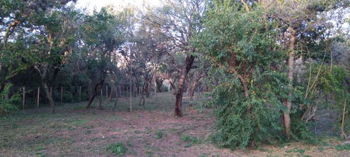 Imagen 1 de 5 de Excelente Lote En Venta En Carpinteria.