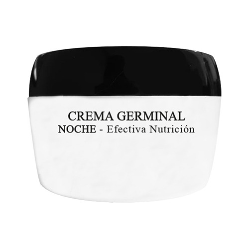 Artez Westerley Crema Germinal Noche X 50g