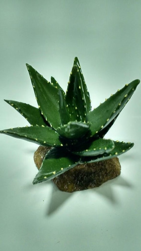 Planta Artificial Cactus Suculenta 104 Aquario Terrário