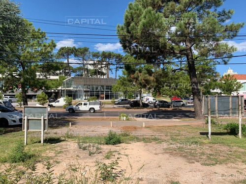 Local En Venta - Punta Del Este- Ref: 29026
