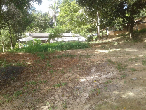 Imagem 7 de 10 de Sítio Em Promoção Baixei Para Vender Rápido