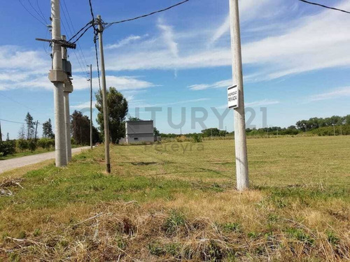 Imagen 17 de 30 de 486 Y 147. Lote De 990 M2 En Venta - Fincas De Gorina.-
