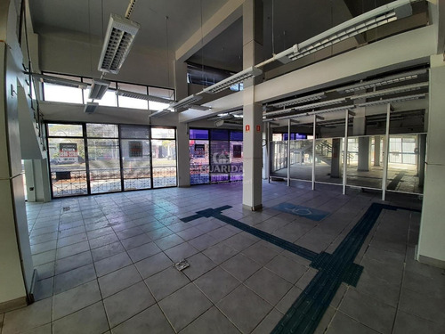 Imagem 5 de 26 de Loja/ponto Comercial Para Aluguel, 8 Vagas, Cavalhada - Porto Alegre/rs - 7902