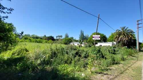 Ruta 11 Y 600 ( 41 ) - Alquiler O Venta - 3079 M2