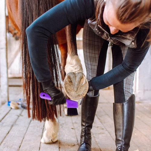 Cepillo De Aseo Para Caballos Escobilla De Pezuña 2 En 1 Par