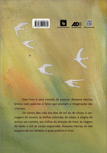 Dançam Porque Não Podem Voar, De Roseana Murray., Vol. 1. Editorial Elo Editora, Capa Mole, Edição 1 Em Português