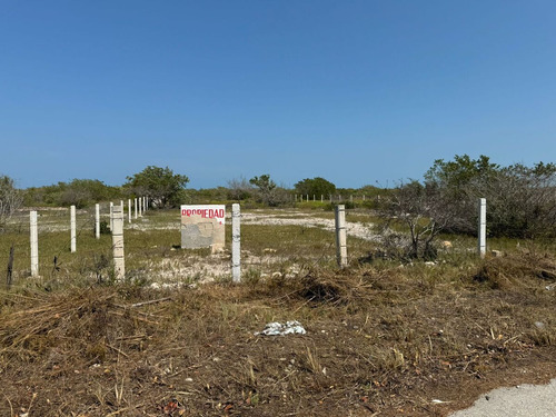 Terreno En Venta, Frente A Playa En San Crisanto, Yucatán