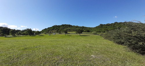 Imagen 9 de 17 de Terreno Venta O Permuta La Lucinda 4.134 M2