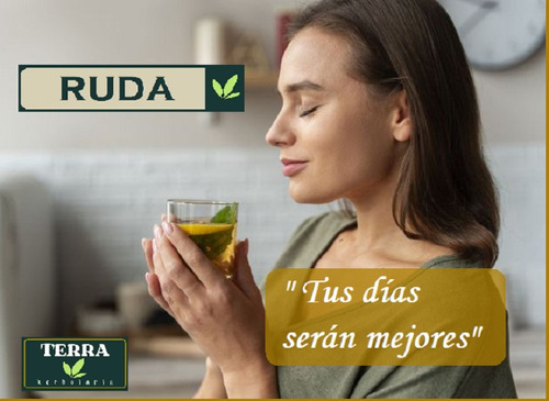 Té De Ruda Seca Selecta 250g - Terra Herbolaria México