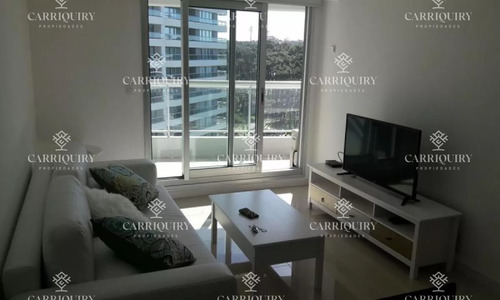 Apartamento En Venta Playa Brava 1 Dormitorio