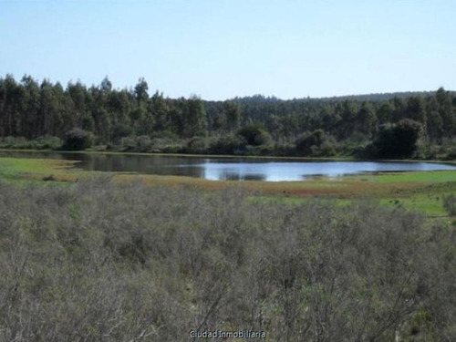 Campo Ganadero Cuchilla Alta, Excelente Ubicación