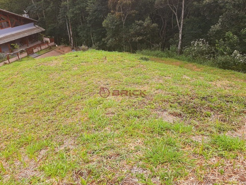 Imagem 4 de 20 de Terreno Com 840 M² Em Condomínio No Bairro De Vargem Grande. - Te00408 - 69410774