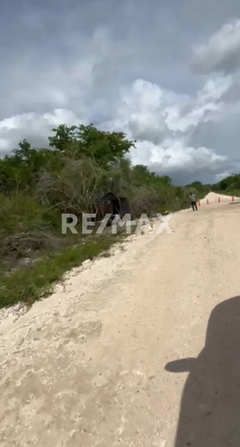 Fabulosos Terrenos A Pie De La Laguna De Siete Colores En Bacalar!!