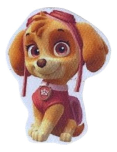 Parches Estampados Termoadhesivos Skye Paw Patrol