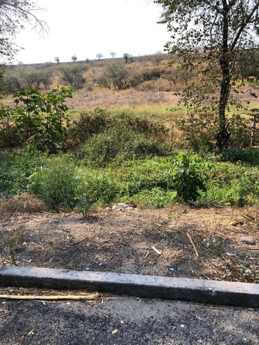 Imagen 1 de 6 de Oportunidad Compra Terreno A 5 Km Del Lago De Tequesquitengo
