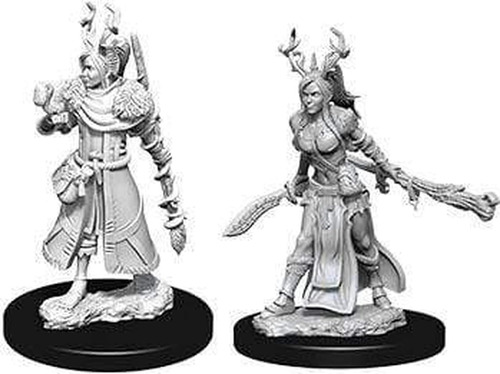 D&d Nolzurs Marvelous Miniatures - Druida Humana Femenina