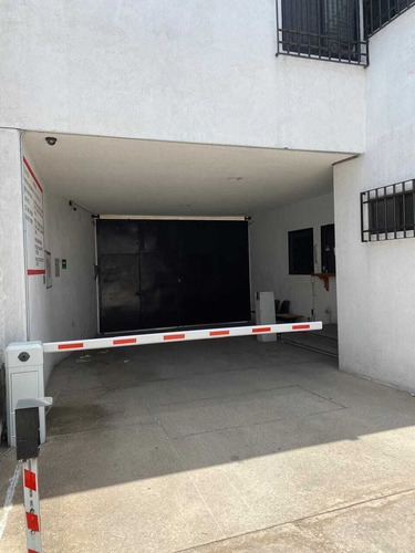 Bodega En Renta En Constitucion, S.l.p.