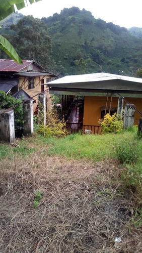 Imagen 14 de 18 de Venta Finca Génova 15 Cuadras