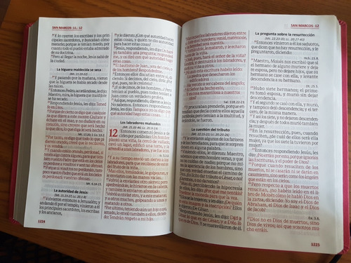 Biblia Letra Gigante Reina Valera 1960 Concordancia