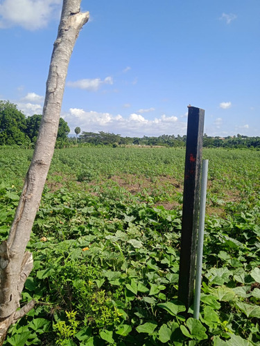 Te Vendo Terreno En Puñal Cerca De Santiago Y La Vega