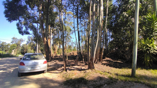 Imagen 6 de 24 de Terreno En Venta En Balneario Buenos Aires