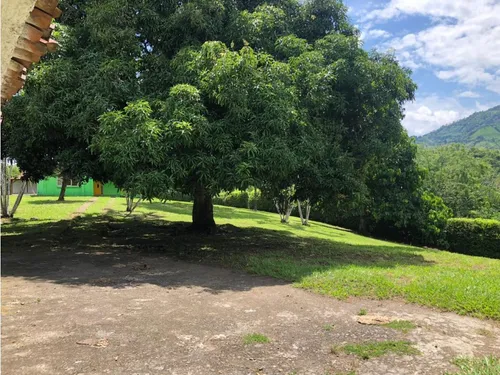 Vendo Fk De Recreo Vereda La Honda, 3 Cuadras Combia, Pereira