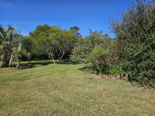 Venta Casa 2 Dormitorios Solís Con Cochera, Piscina Y Anexo