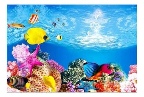 Fondo De Acuario De Doble Cara 50x82cm Tipo A - 50x82cm
