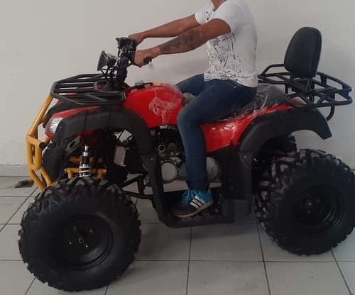 Imagem 9 de 10 de Quadriciclo 180cc Automático 0km