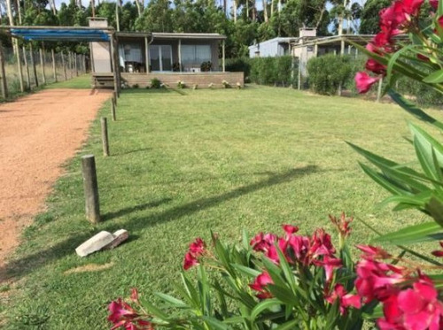Imagen 13 de 18 de Terreno En Venta En San Vicente