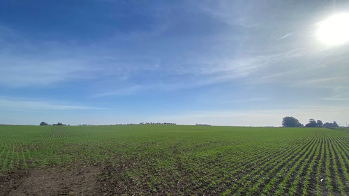 Campo 33 Hectáreas Agrícola En Gardey Tandil