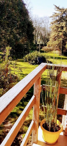 Imagen 11 de 30 de Gran Casa En Venta Sobre Lote Prop, Grosellar, Mar Del Plata
