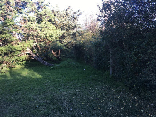 Imagen 4 de 5 de Venta De Amplio Lote, Ezeiza