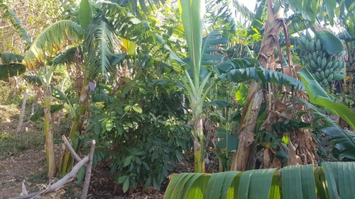 Imagen 5 de 30 de Se Vende Terreno Favorable Con Agua Y Luz Y Casita