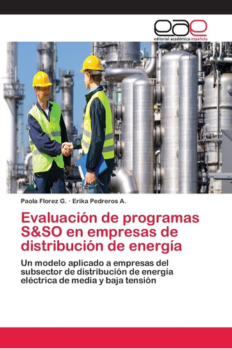 Libro: Evaluación De Programas S&so En Empresas De De Un A Y