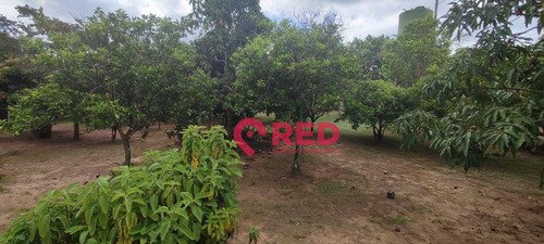 Imagem 26 de 27 de Chácara Com 3 Dormitórios À Venda, 2000 M² Por R$ 480.000,00 - Cruz Das Almas - Tietê/sp - Ch0112