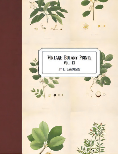 Vintage Botany Prints : Vol. 13, De E Lawrence. Editorial Createspace Independent Publishing Platform, Tapa Blanda En Inglés