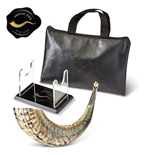 Shofar Zion Kosher Shofar Natural Sin Olor | Cuerno De Carne