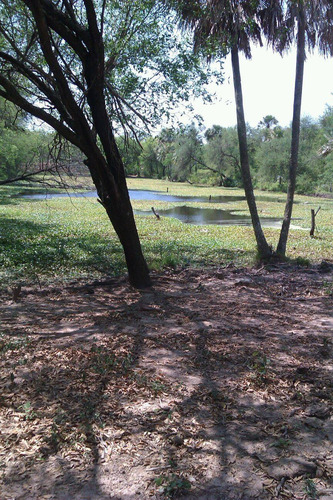 Exelente Campo En Paraguay.precio Ideal Inversión.