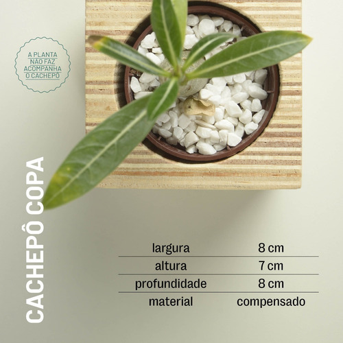 Cachepô Copa, Em Madeira Compensado. Não Acompanha A Planta