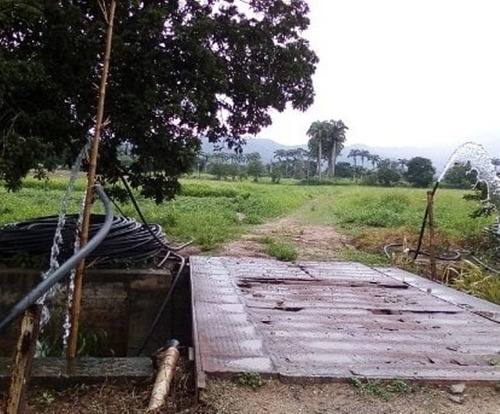 Venta De Finca 21 H:a En Sabaneta , Montalban , Carabobo Liortg 2