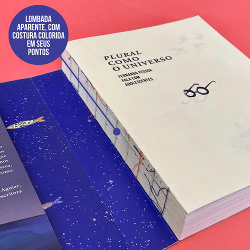 Plural Como O Universo, De Hermes Ursini. Editorial Editora Da Ponte, Capa Mole Em Português