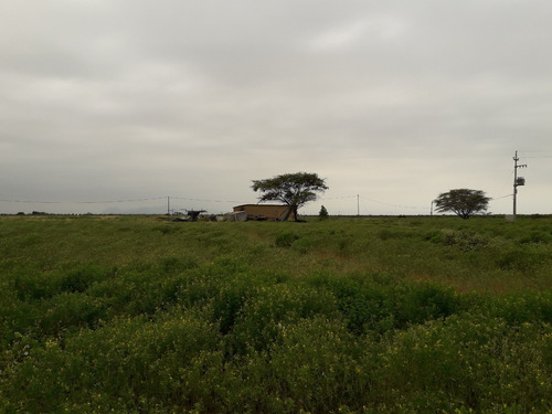 Imagen 9 de 14 de Terreno Para Uso Agricola