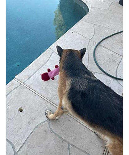 Juguetes Chirriantes Para Perros Sin Relleno Con Forro
