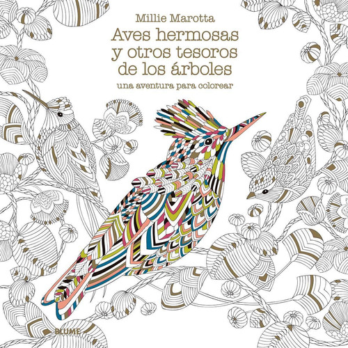 Aves Hermosas Y Otros Tesoros De Los Arboles - Marotta