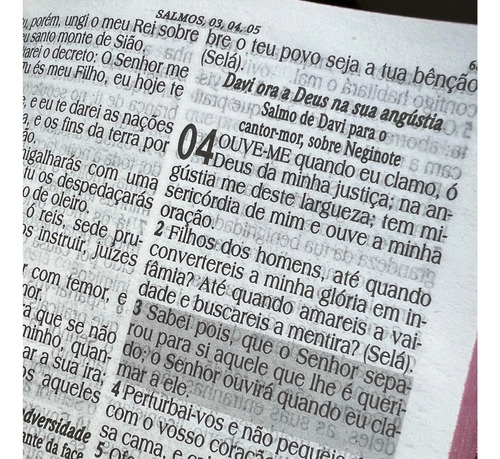 Bíblia Sagrada Feminina Rosa Seja Luz Letra Hiper Gigante Evangélica Leão Com Harpa E Índice Arc Palavras De Jesus Em Negrito Jovem Flores Fé Capa Dura