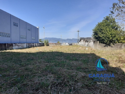 Imagem 13 de 21 de Area - Ar00004 - 1467501
