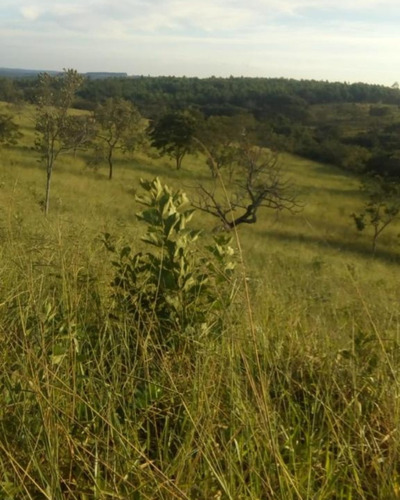 Imagem 3 de 8 de Terra Com Casa Há 37km De Formiga - Mg