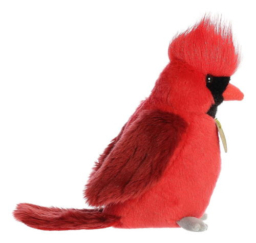 Pajaro Carpintero Ave Bebe Miyoni Peluche Aurora Labubu